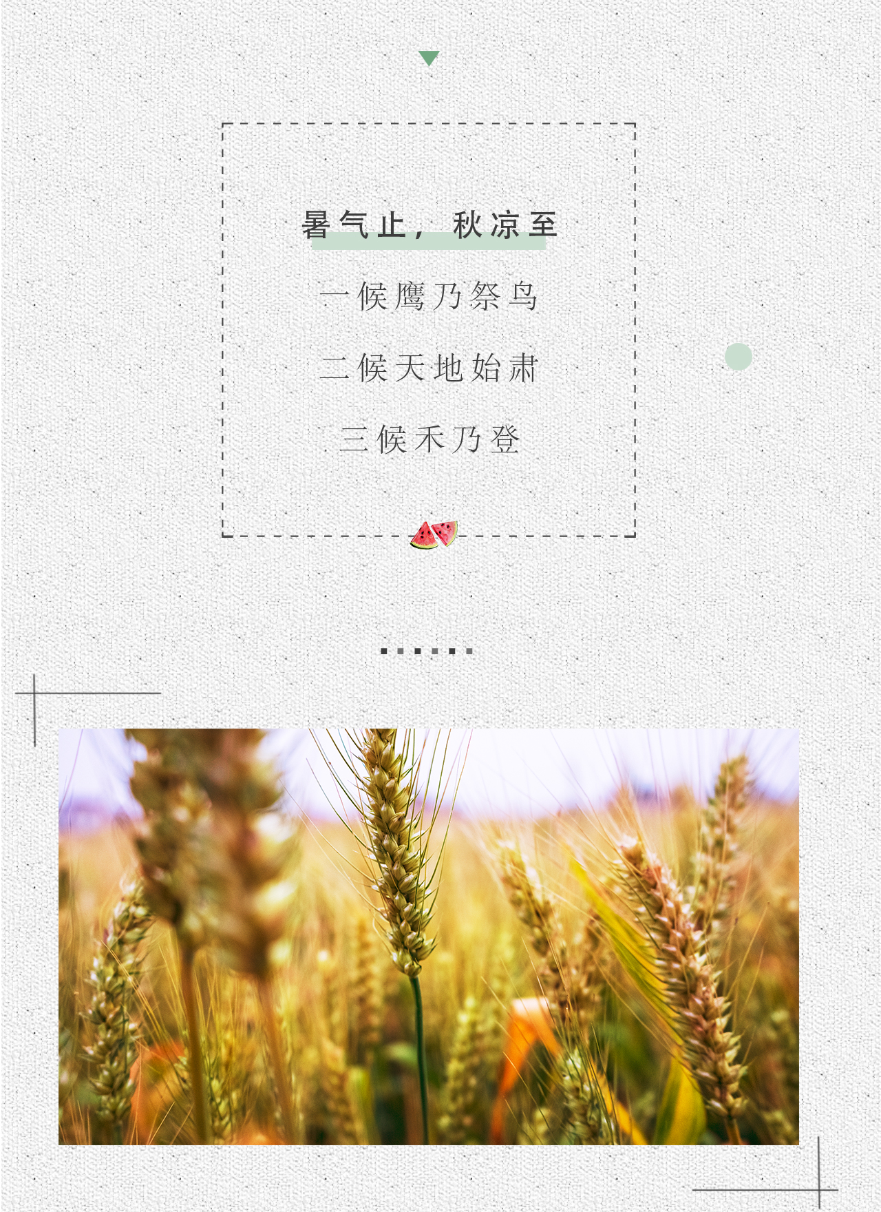 处暑_03.jpg