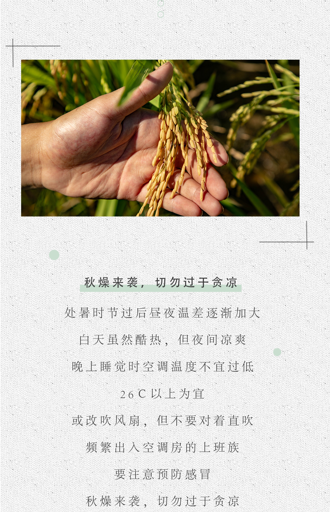 处暑_05.jpg