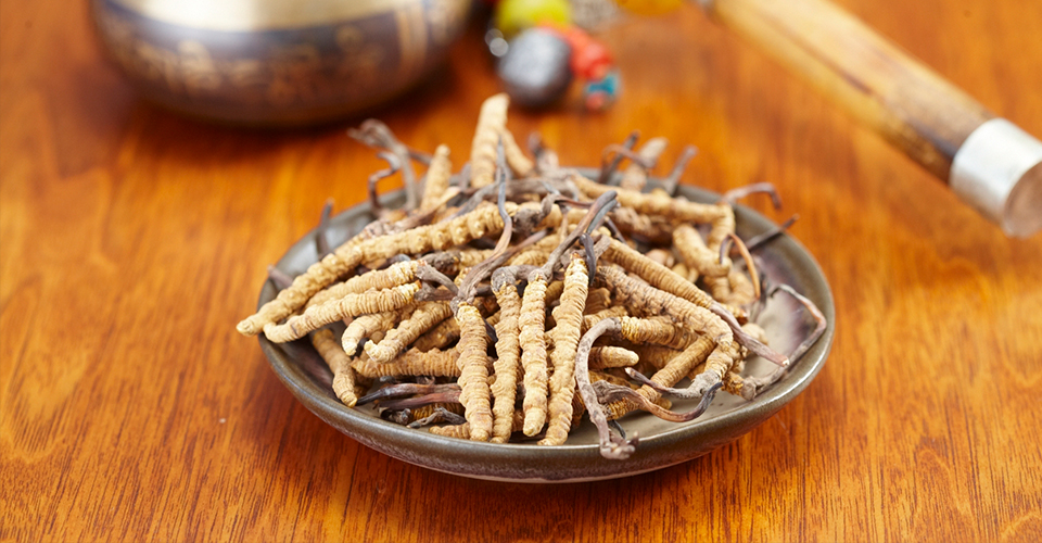 贵细中药材大盘点！作用日益提升